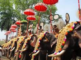 Thrissur Pooram festival elephants kerala tourism india