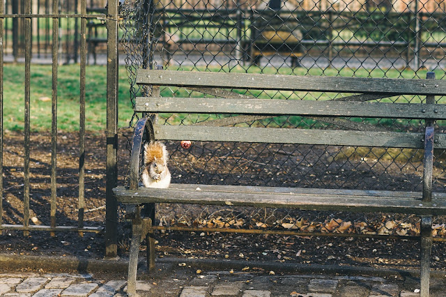 トンプキンズ・スクエア・パーク(Tompkins Square Park) トンプキンズ・スクエア・パーク(Tompkins Square Park)