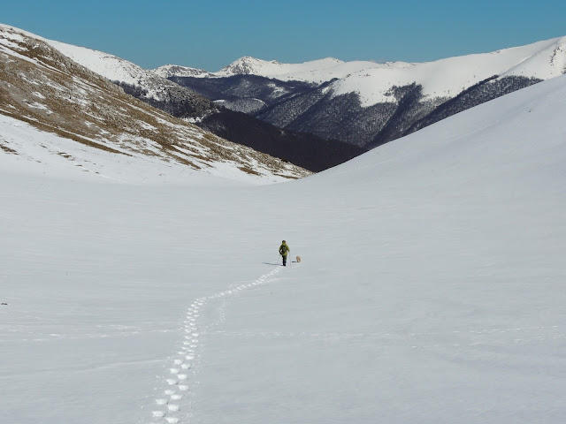 ciaspolare nel Parco d'Abruzzo