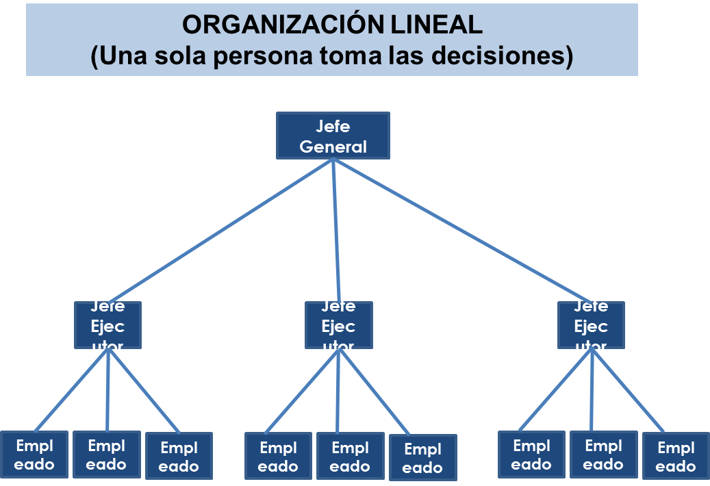 Diseño Organizacional: Modelos de la Estructura Organizacional