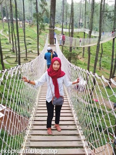 Orchid forest lembang Orchid forest lembang