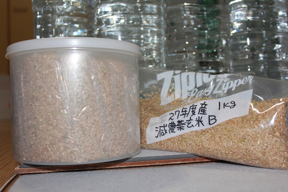 おのみち -測定依頼所- の測定員のブログ: 玄米B・減農薬・鹿児島県（2015年産）