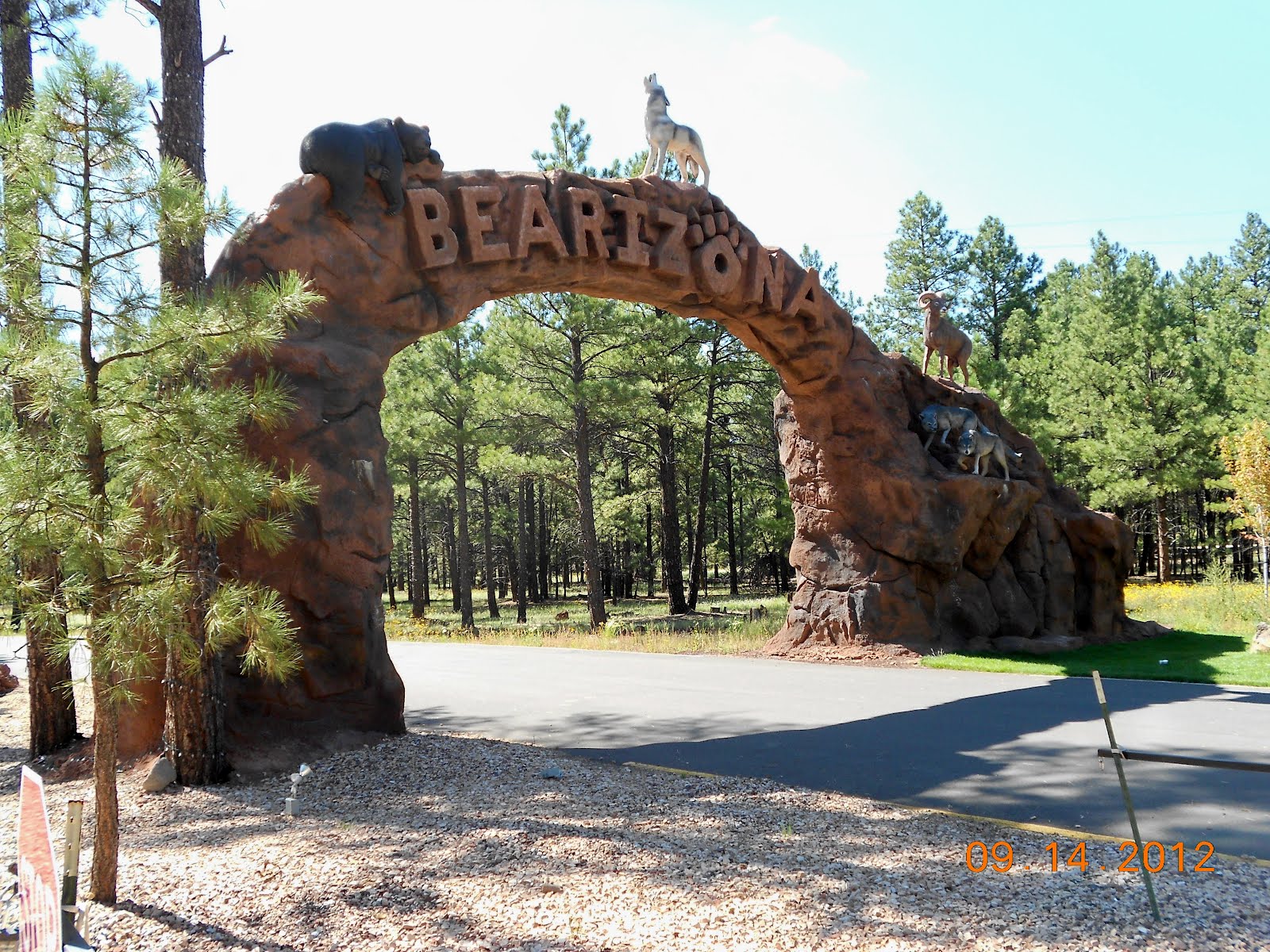 BY CHANCE A VISIT TO BEARIZONA