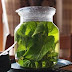 Amazing health benefits of lemon balm