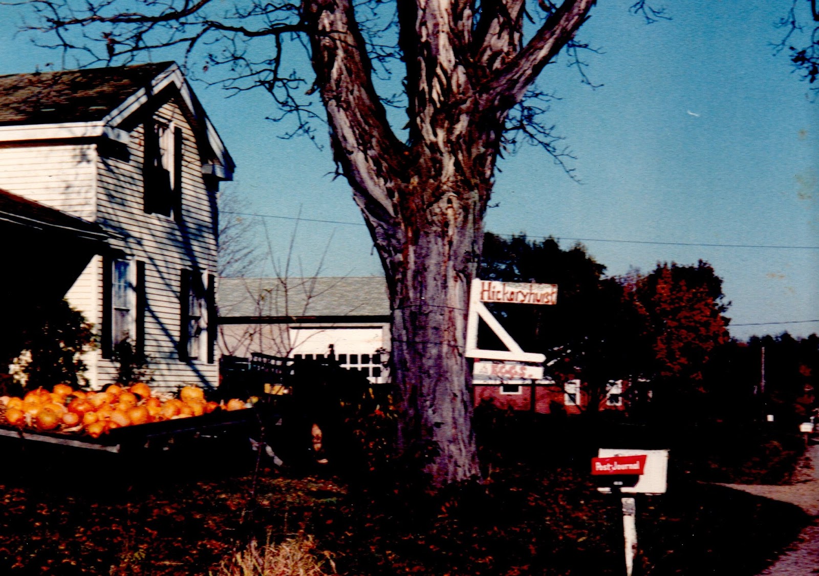 Go Back You the Flowers Origins of Hickory Hurst Farm's Name