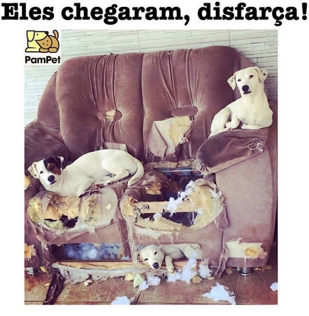 Memes engraçados Memes engraçados