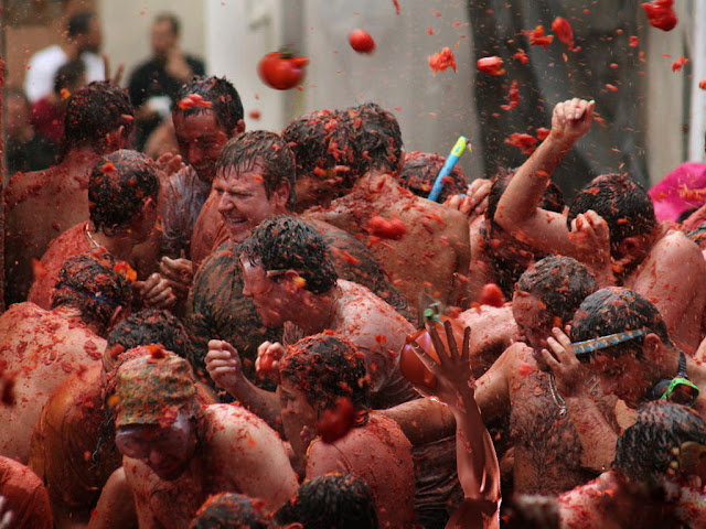 la tomatina festival spain la tomatina festival spain