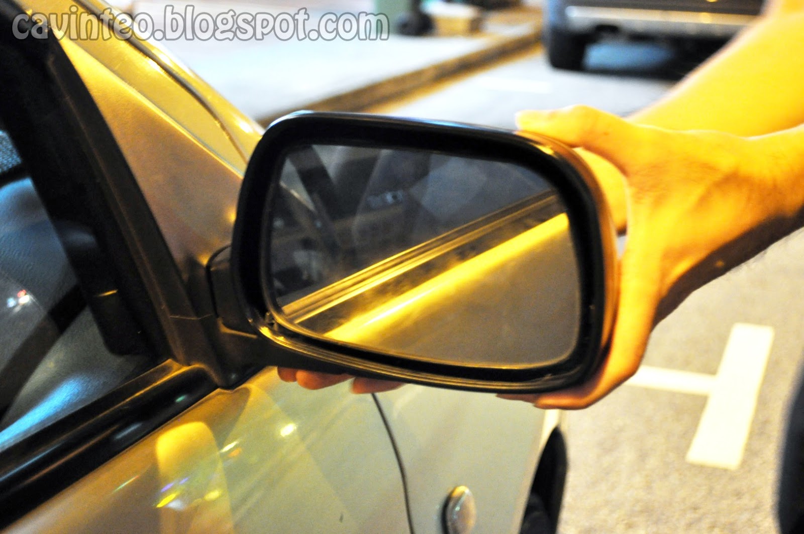 Entree Kibbles: Side Mirror Is In Trouble Again - The Never-Ending