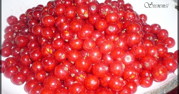 Summsis Hobbyküche: Roter Johannisbeerlikör - #wirrettenwaszurettenist