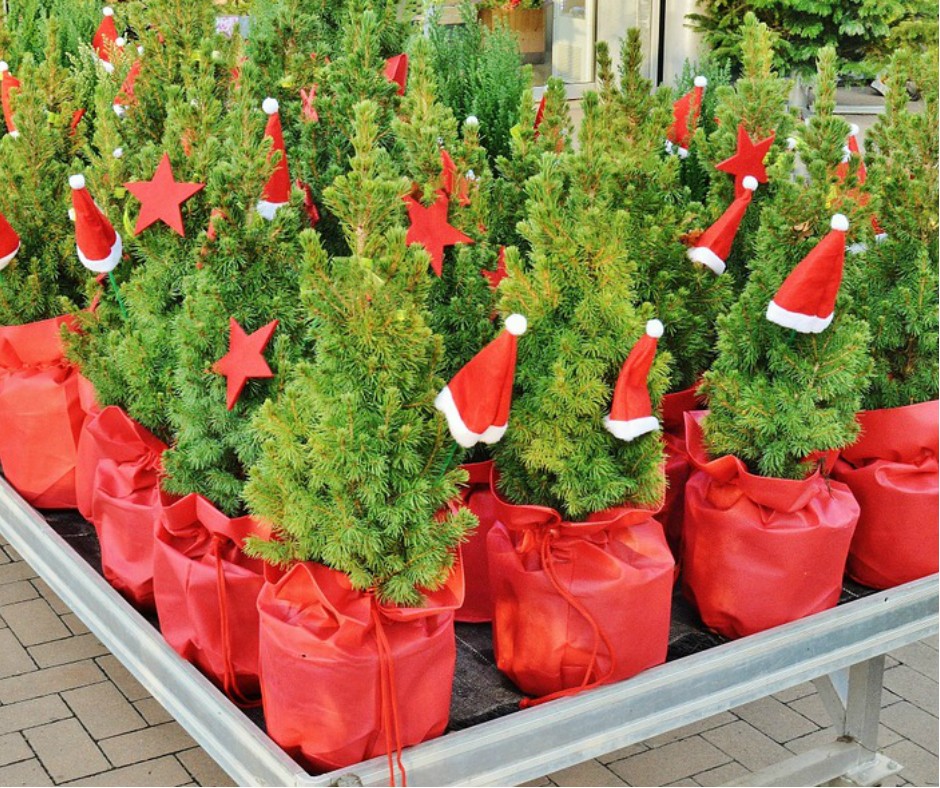 Tabletop Christmas Tree Reviews