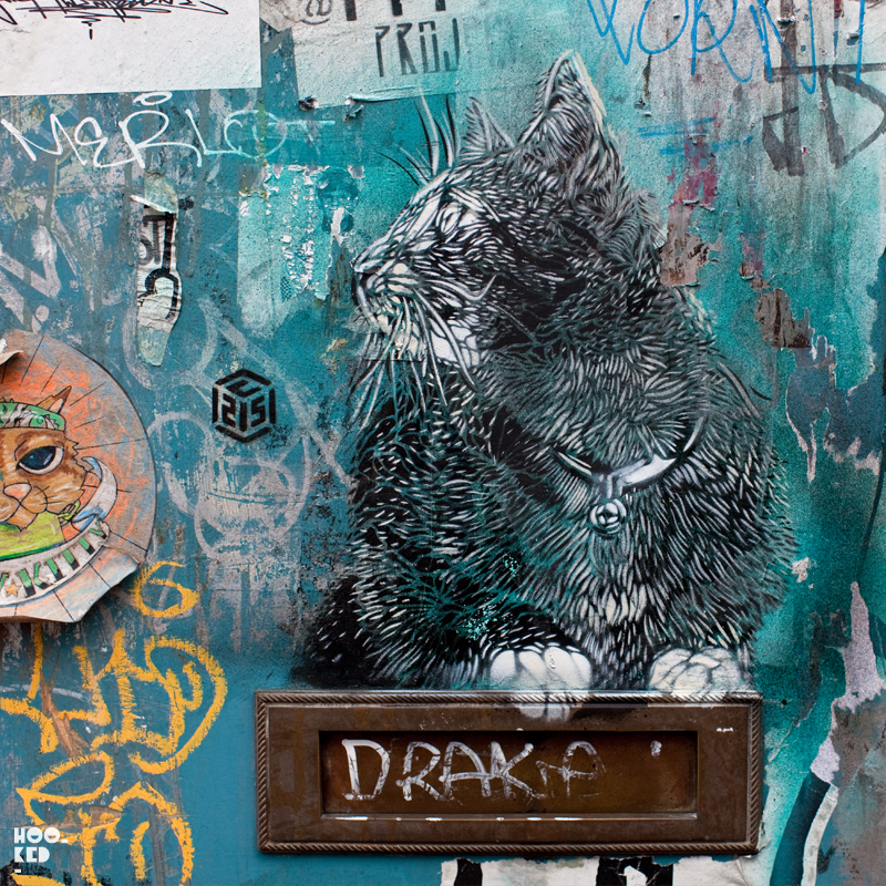 C215 - London Street Art Clowder of Cats