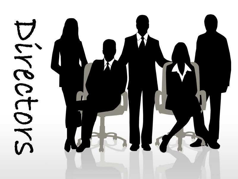 Who is a director? and what are the types of director?