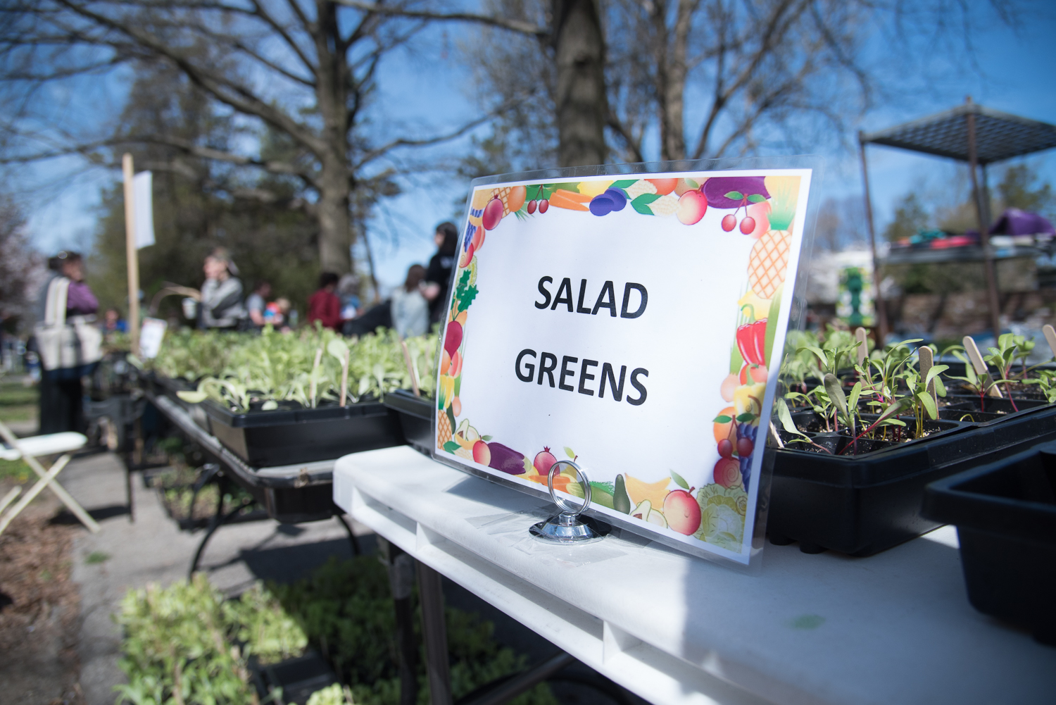Penn State Extension Philadelphia Master Gardeners Plant Sale Success!