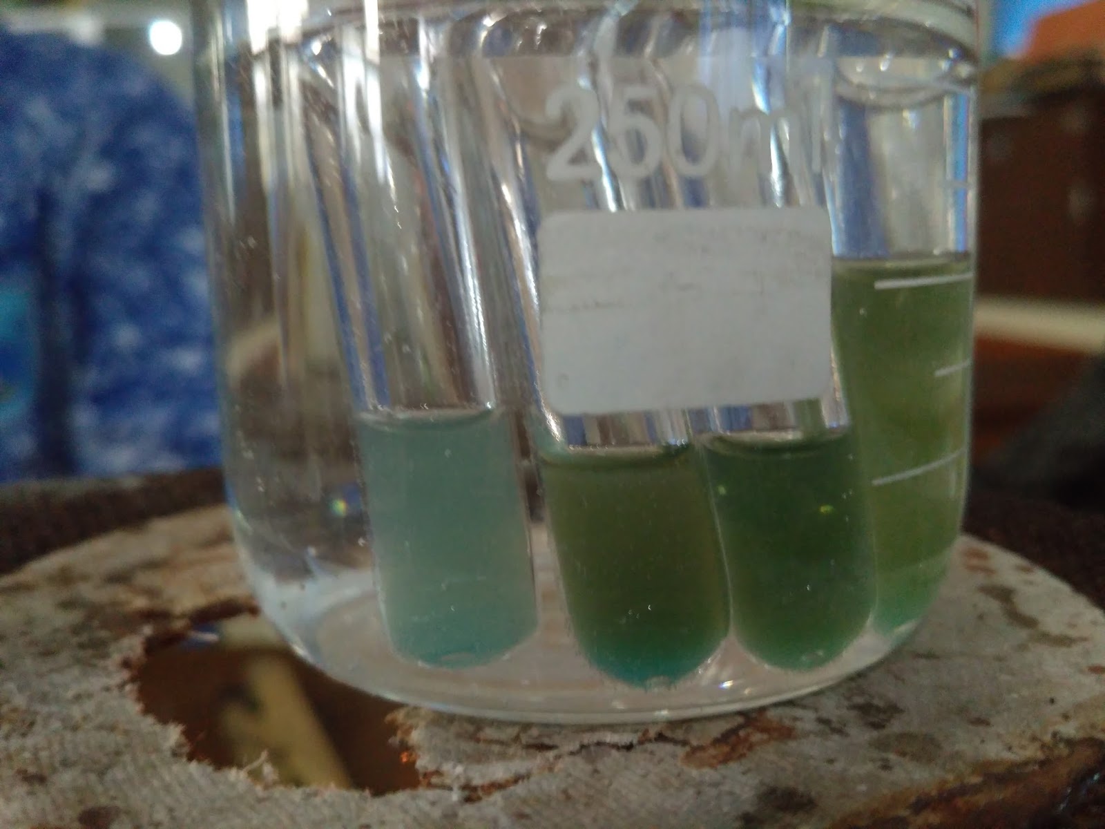 Uji Kandungan Gula dan Protein dalam Urine SCIENCE Uji Kandungan Gula dan Protein dalam Urine SCIENCE