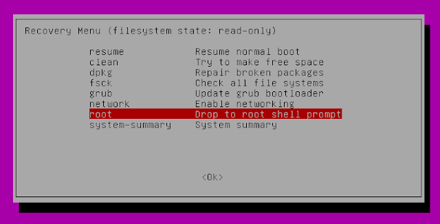 Ubuntu drop to root shell prompt