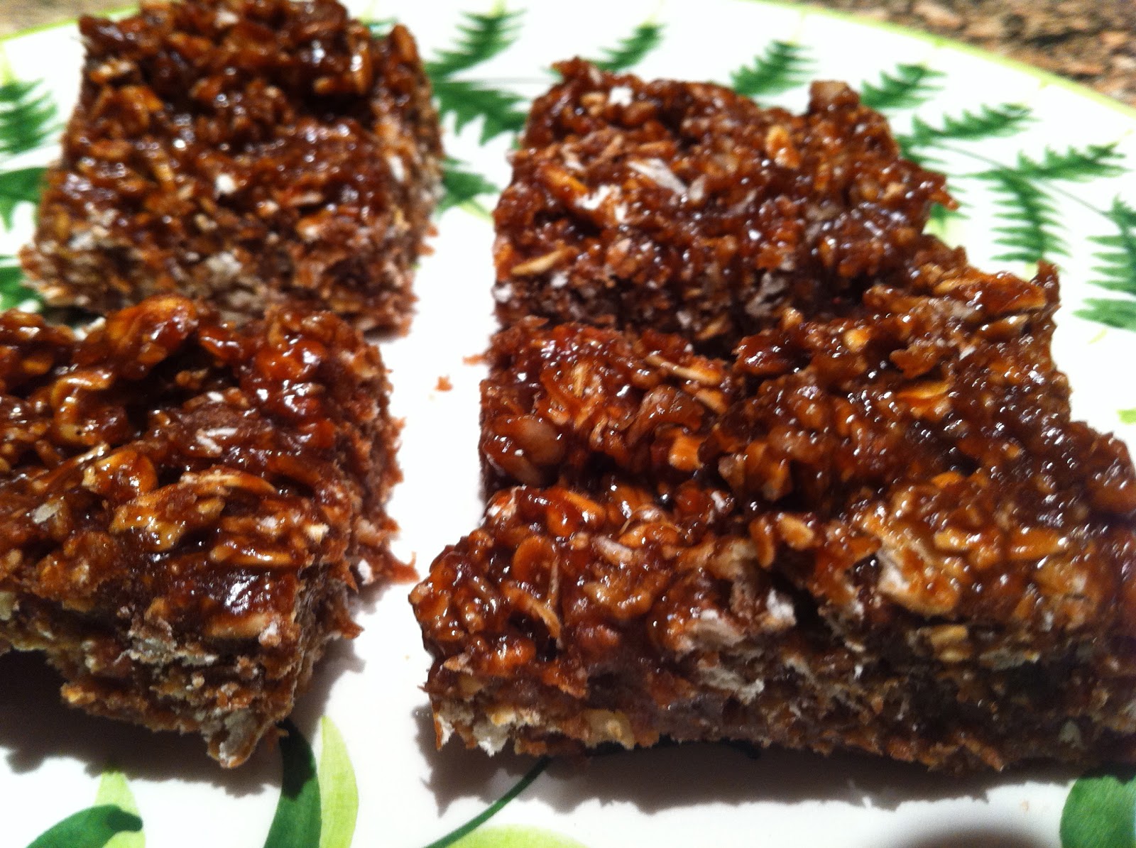 Oatmeal Peanut Butter Protein Bar