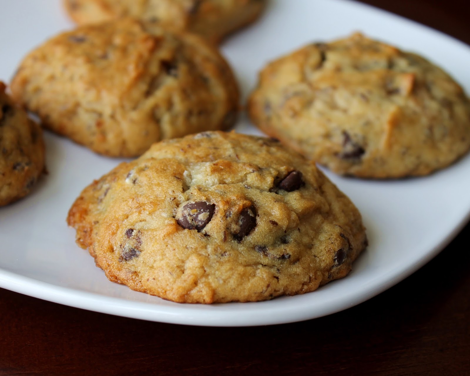 Auntie Bethany The Best Gluten Free Gluten Free Chocolate Chip