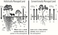 Fuente: http://eco-pioneers.org/wp-content/uploads/2012/11/Holistically-managed-land.jpg