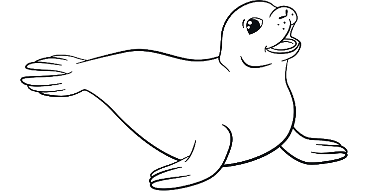 gambar mewarnai hewan di laut orca