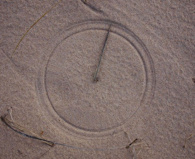 ¿Quién ha formado este círculo perfecto en la arena?