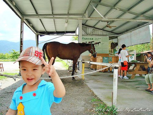 豐之谷濕地公園|韋恩鮮茶舖|近花蓮壽豐理想大地渡假飯店