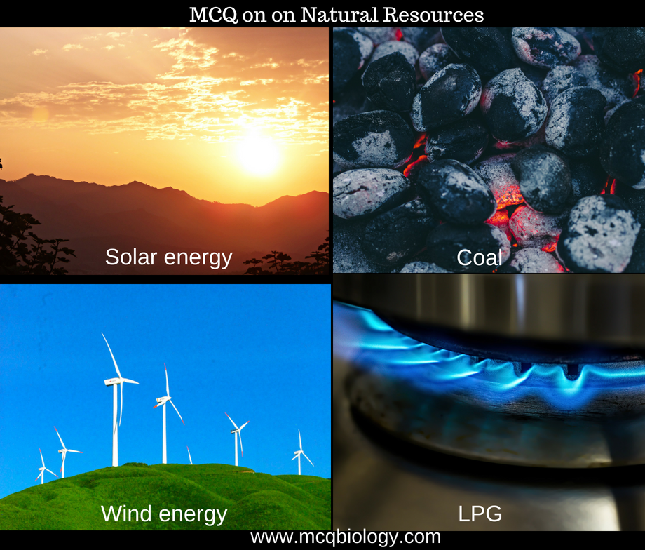 Multiple Choice Questions on Natural Resources