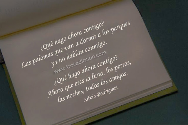 Qué hago ahora contigo. Las palomas que van a dormir a los parques ya no hablan conmigo.  Qué hago ahora contigo. Ahora que eres la luna, los perros, las noches, todos los amigos.