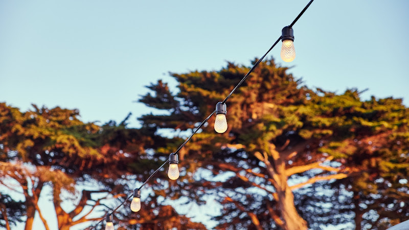 Lights Bulbs. Fort Mason Center