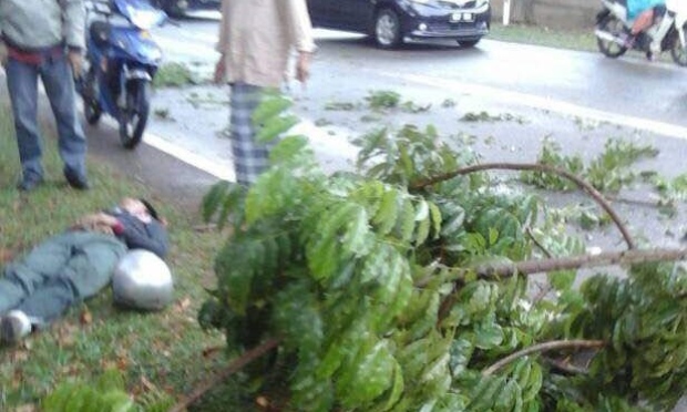 Pelajar Maut Dihempap Dahan Pokok Pelajar Maut Dihempap Dahan Pokok