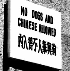 No Chinese Allowed