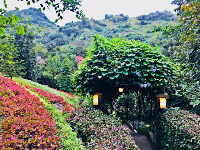 Terrazas de Flores Botanical Garden - Malubog, Cebu City