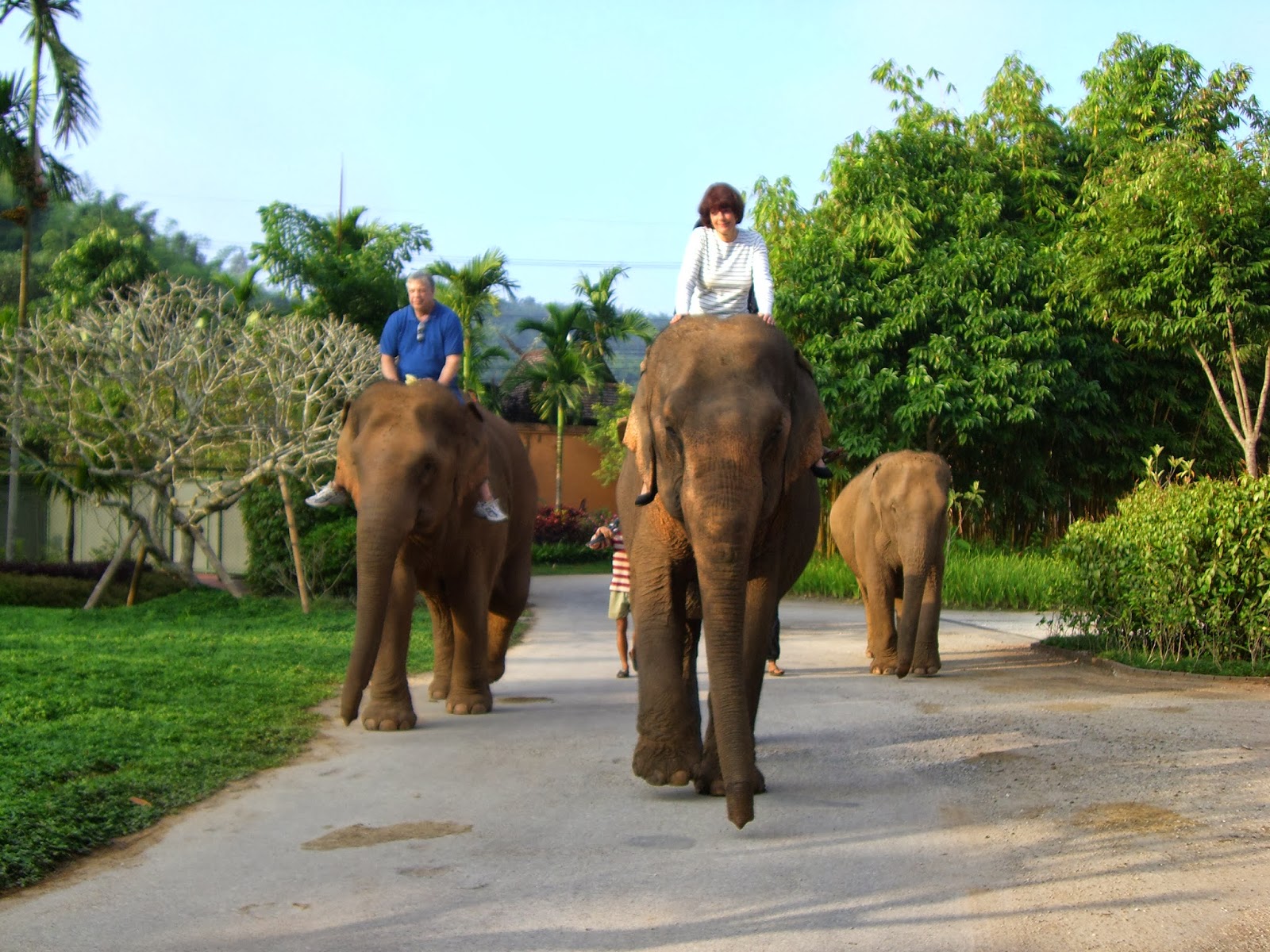 The Born to Shop Traveler: Anantara Elephant Camp in Chiang Rai