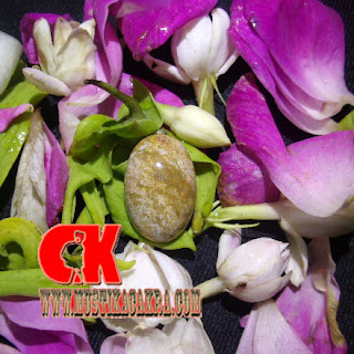 Mustika Sakral Syekh Jangkung Mustika Sakral Syekh Jangkung