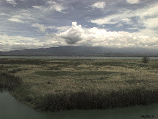 Lago de Texcoco ya es Área Natural Protegida