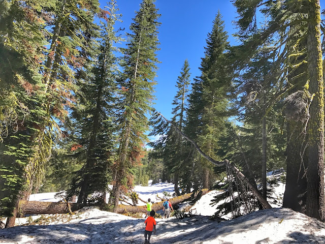 Heading back to the trailhead