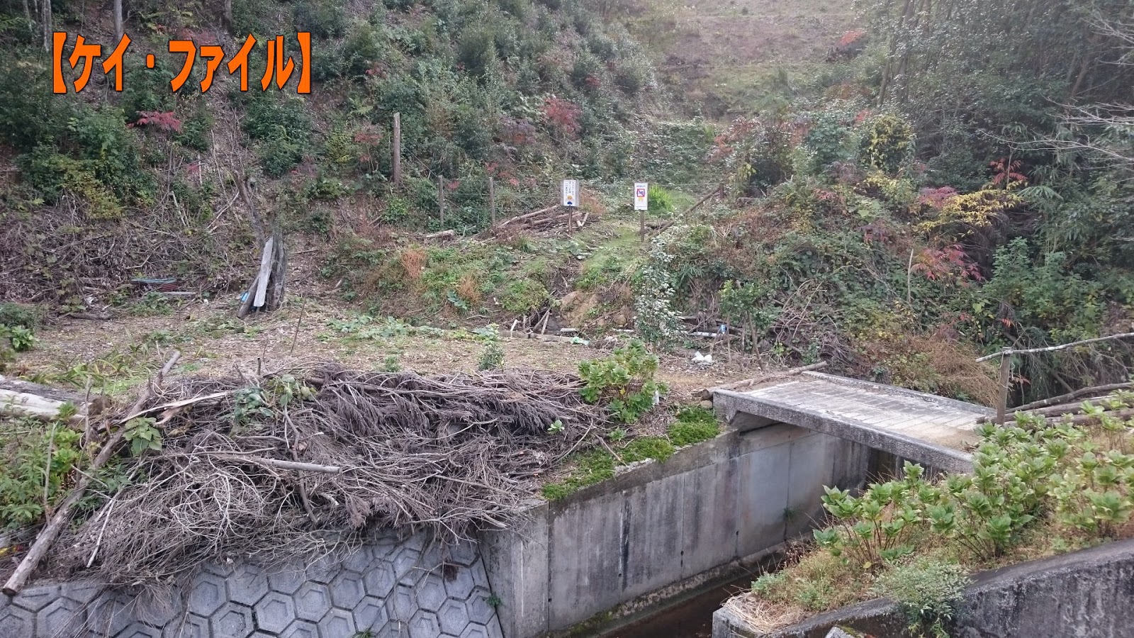 原告、被告、被告、原告: それぞれとその違い