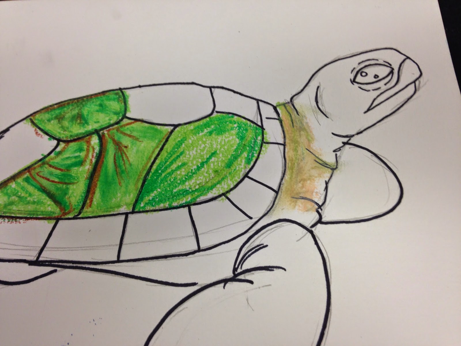 The Art Room: Oil Pastel Sea Turtles (Grades 1-5)