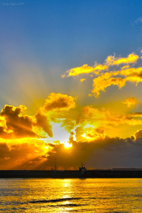 Nature rarer uses Yellow