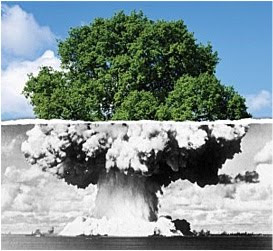e.g. Tree bombs