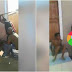 Residents torture 2 gay men having sex in South Africa