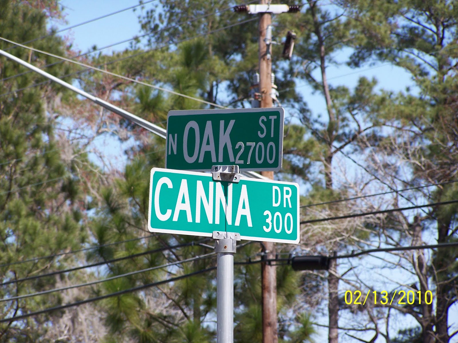 Canna Drive