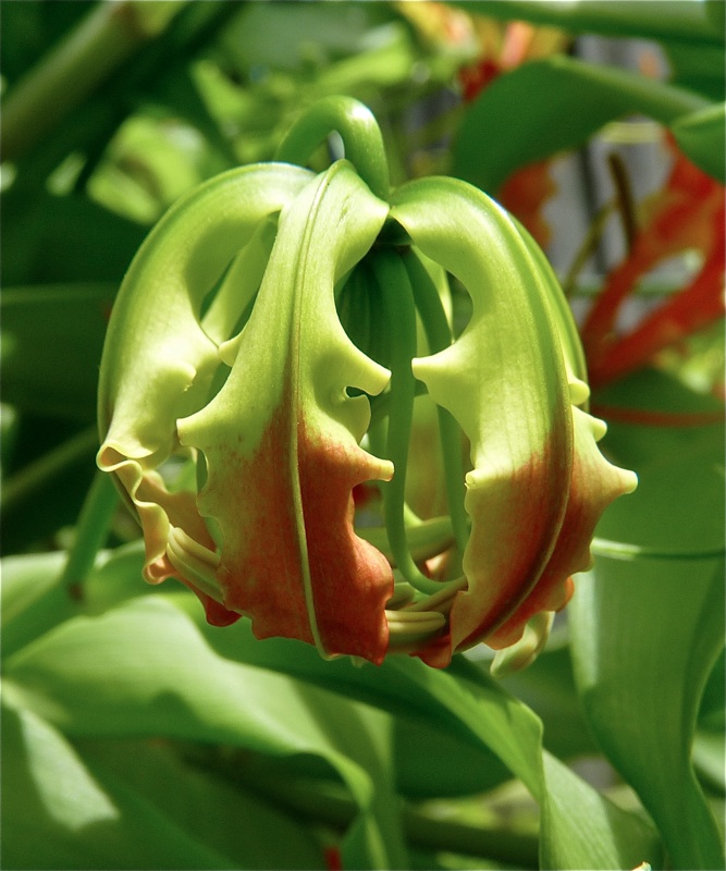 Pieces of Contentment Upside Down Flower