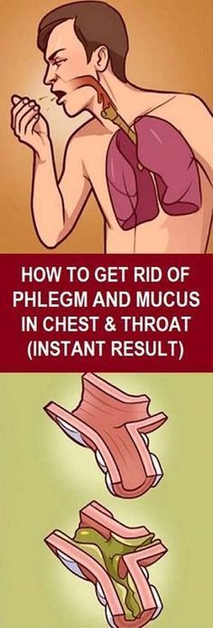 Home Remedies For Clearing Mucus In Lungs Home Remedies For Clearing Mucus In Lungs