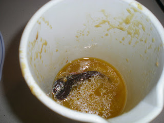 DSCN9443.JPG