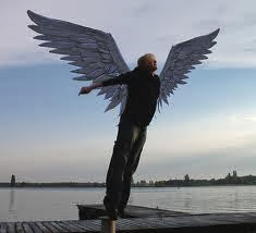 humans fly why even birds wings