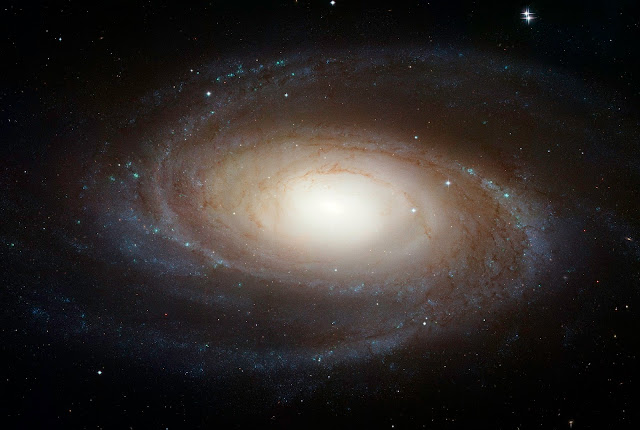 The sharpest image ever taken of the large "grand design" spiral galaxy M81 is being released today at the American Astronomical Society Meeting in Honolulu, Hawaii. A spiral-shaped system of stars, dust, and gas clouds, the galaxy's arms wind all the way down into the nucleus. Though the galaxy is located 11.6 million light-years away, the Hubble Space Telescope's view is so sharp that it can resolve individual stars, along with open star clusters, globular star clusters, and even glowing regions of fluorescent gas. The Hubble data was taken with the Advanced Camera for Surveys in 2004 through 2006. This colour composite was assembled from images taken in blue, visible, and infrared light