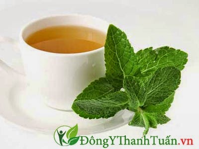 Cách giảm đau dạ dày nhanh chóng bằng trà bạc hà