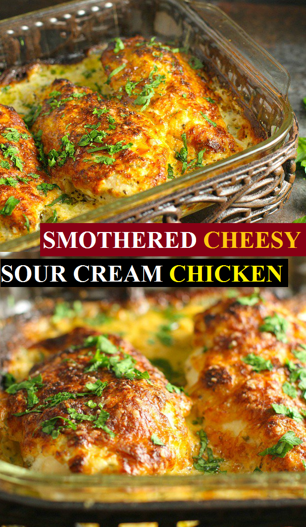 Chicken Breast Sour Cream Sour Cream Chicken Food Fanatic / Cover