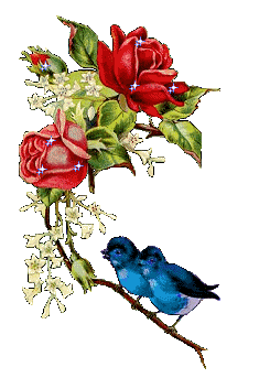 imagem-p%25C3%25A1ssaros%2B%252812%2529.