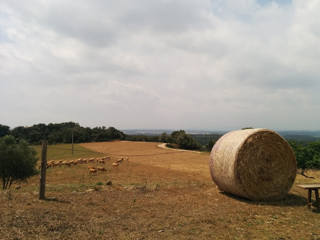 Benvinguts a pagès, visitem Biograssfed